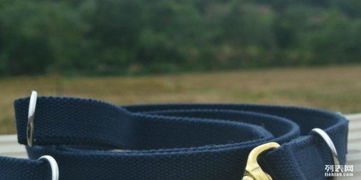 专业中大型犬牵引训练用品，助力狗狗健康成长