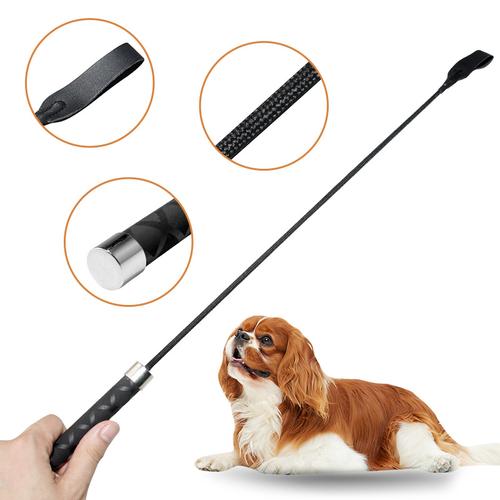 科学驯犬用品全解析 从训犬鞭到麻咬棒的合理使用之道